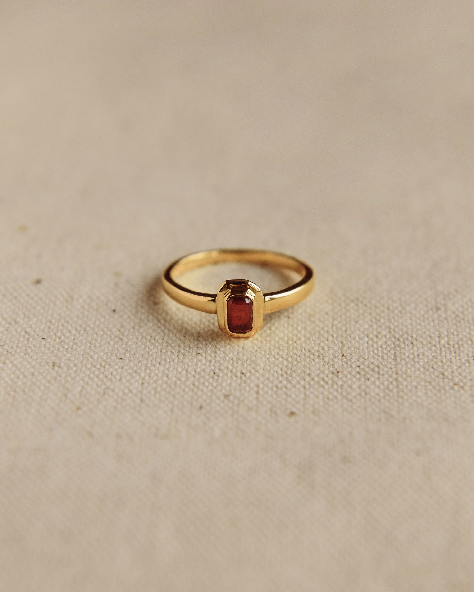 Image of Frances Gold Vermeil Birthstone Ring - January