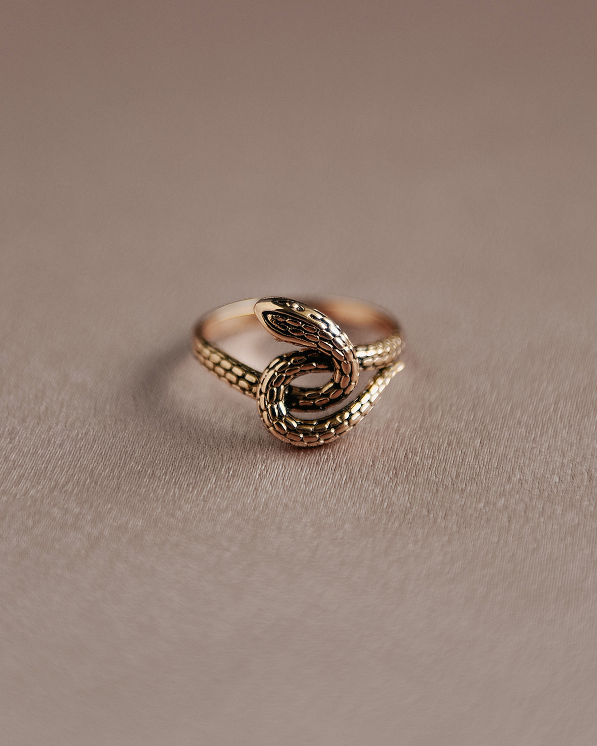 Image of Sunday Gold Vermeil Snake Ring