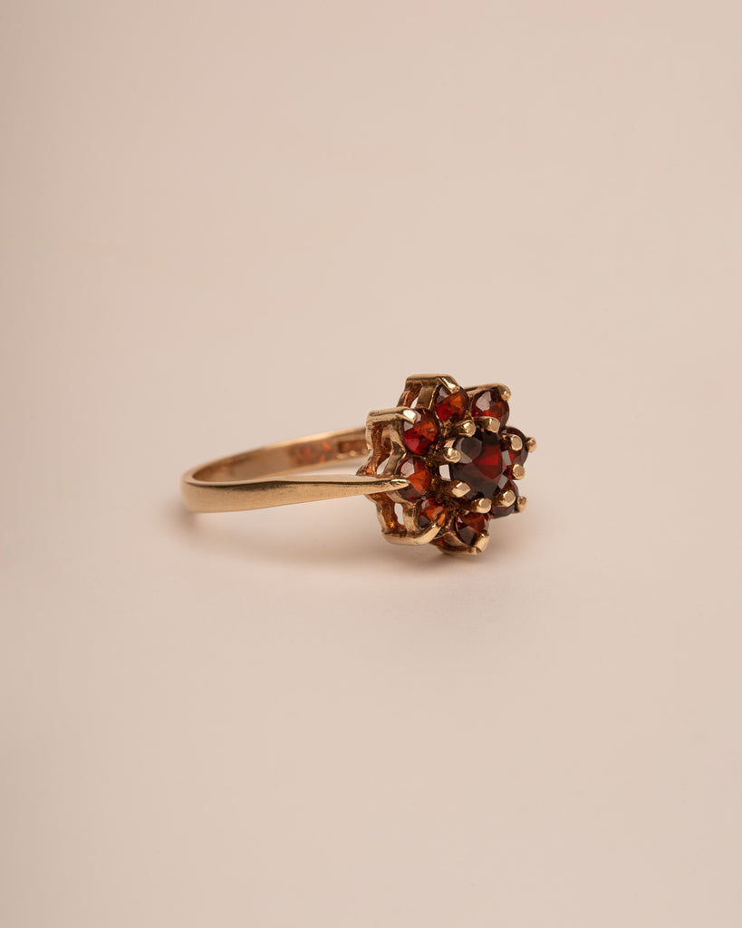 Liza 9ct Gold Garnet Cluster Ring
