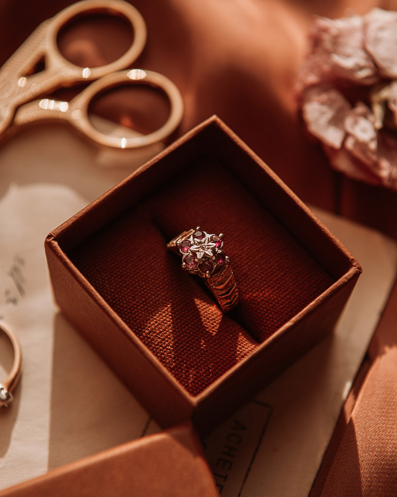 Anais 9ct Gold Ruby & Diamond Ring