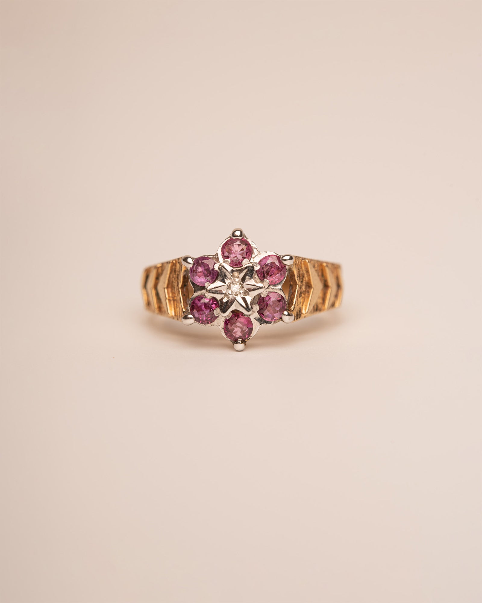 Image of Anais 9ct Gold Ruby & Diamond Ring