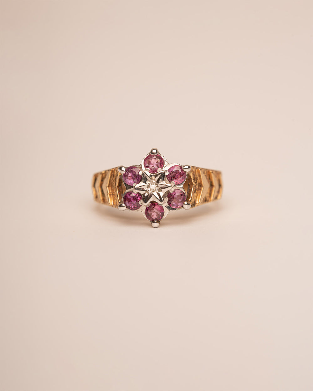 Anais 9ct Gold Ruby & Diamond Ring