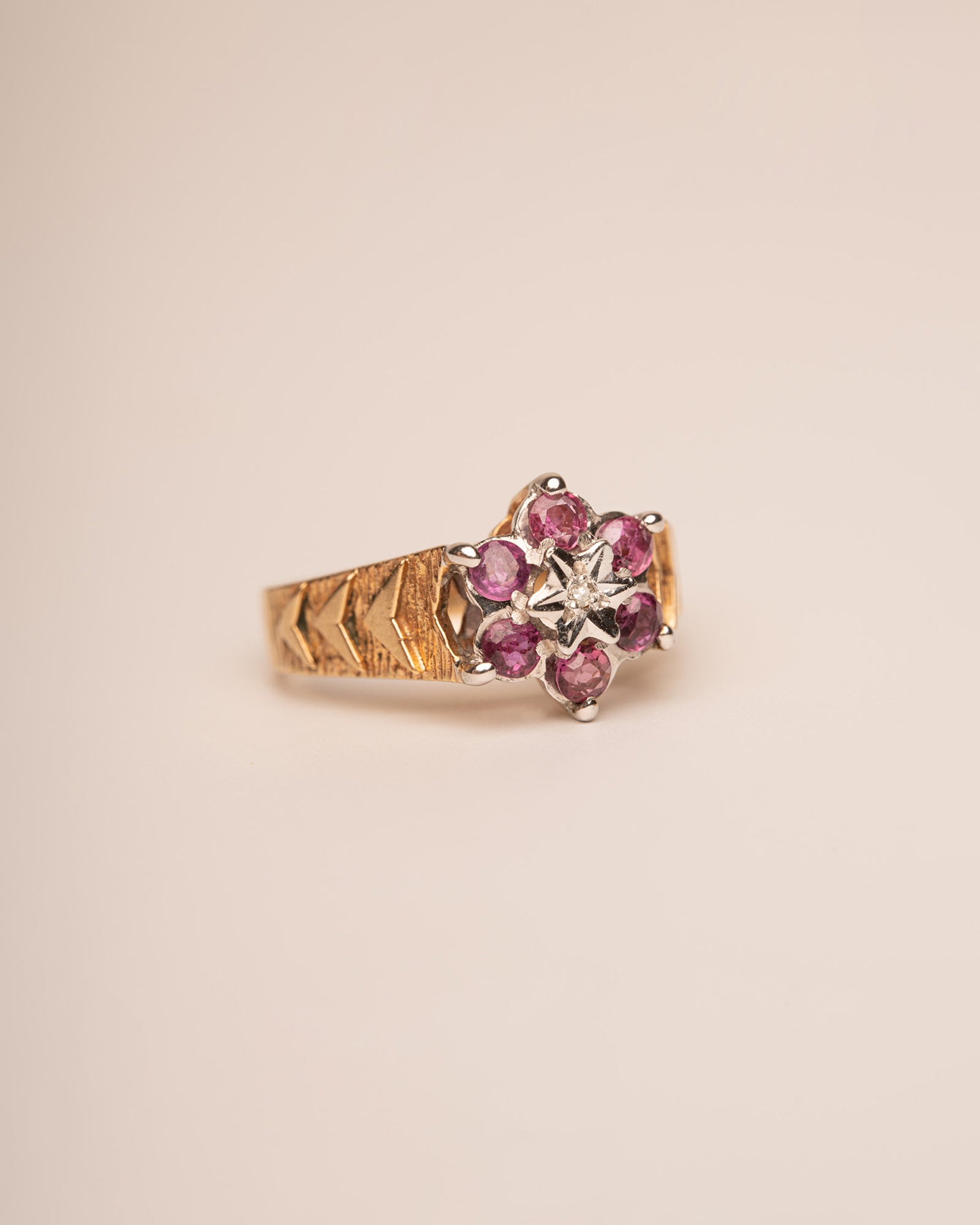Anais 9ct Gold Ruby & Diamond Ring
