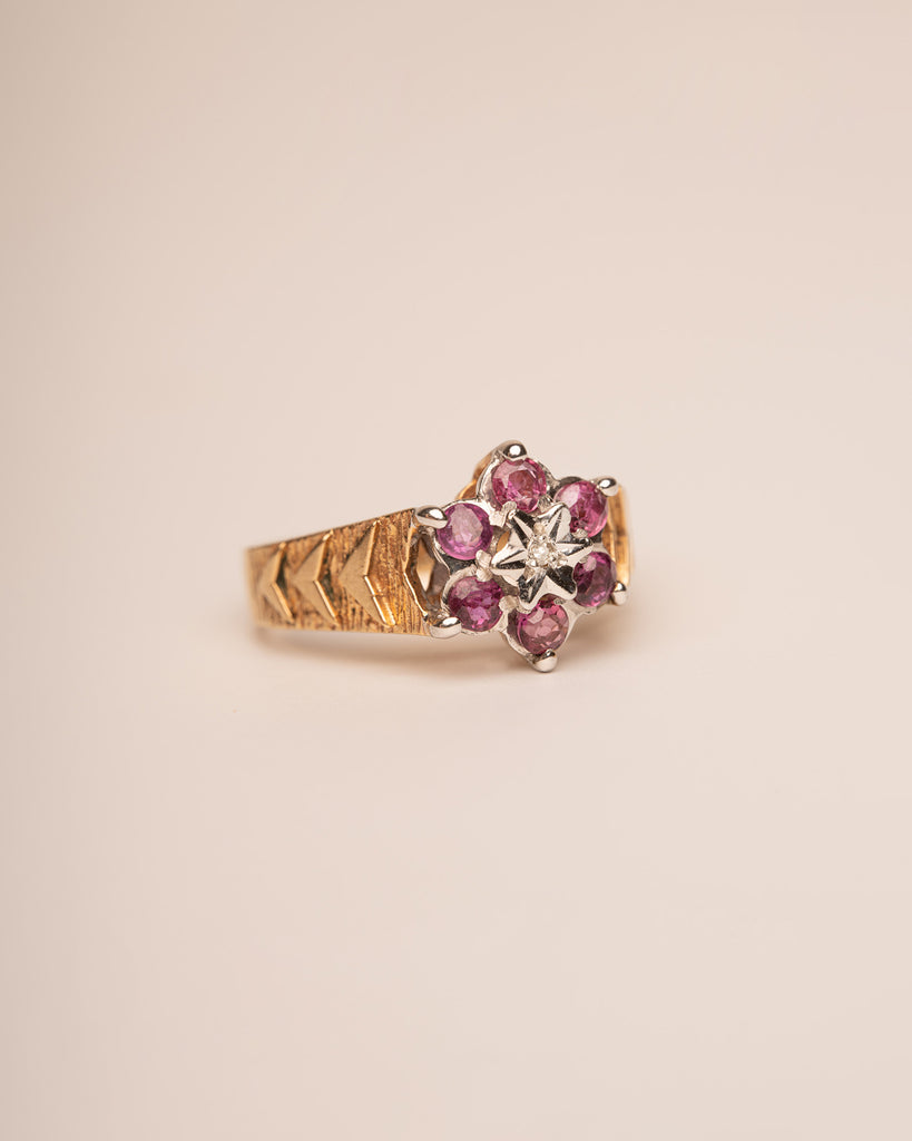 Anais 9ct Gold Ruby & Diamond Ring