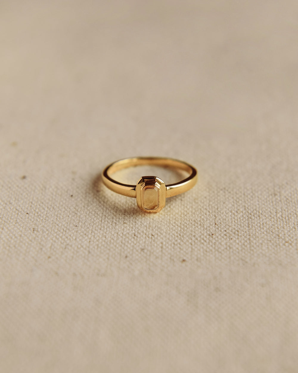 Frances Gold Vermeil Birthstone Ring - November