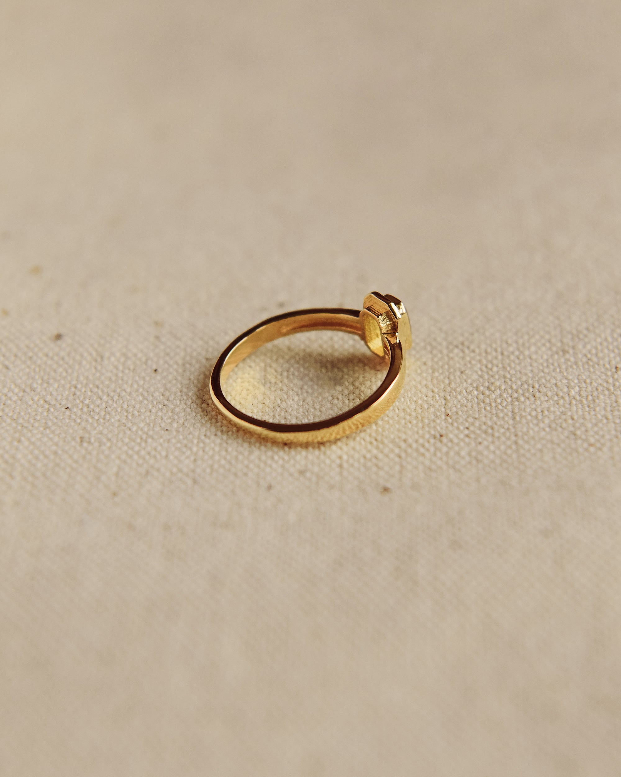 Frances Gold Vermeil Birthstone Ring - August