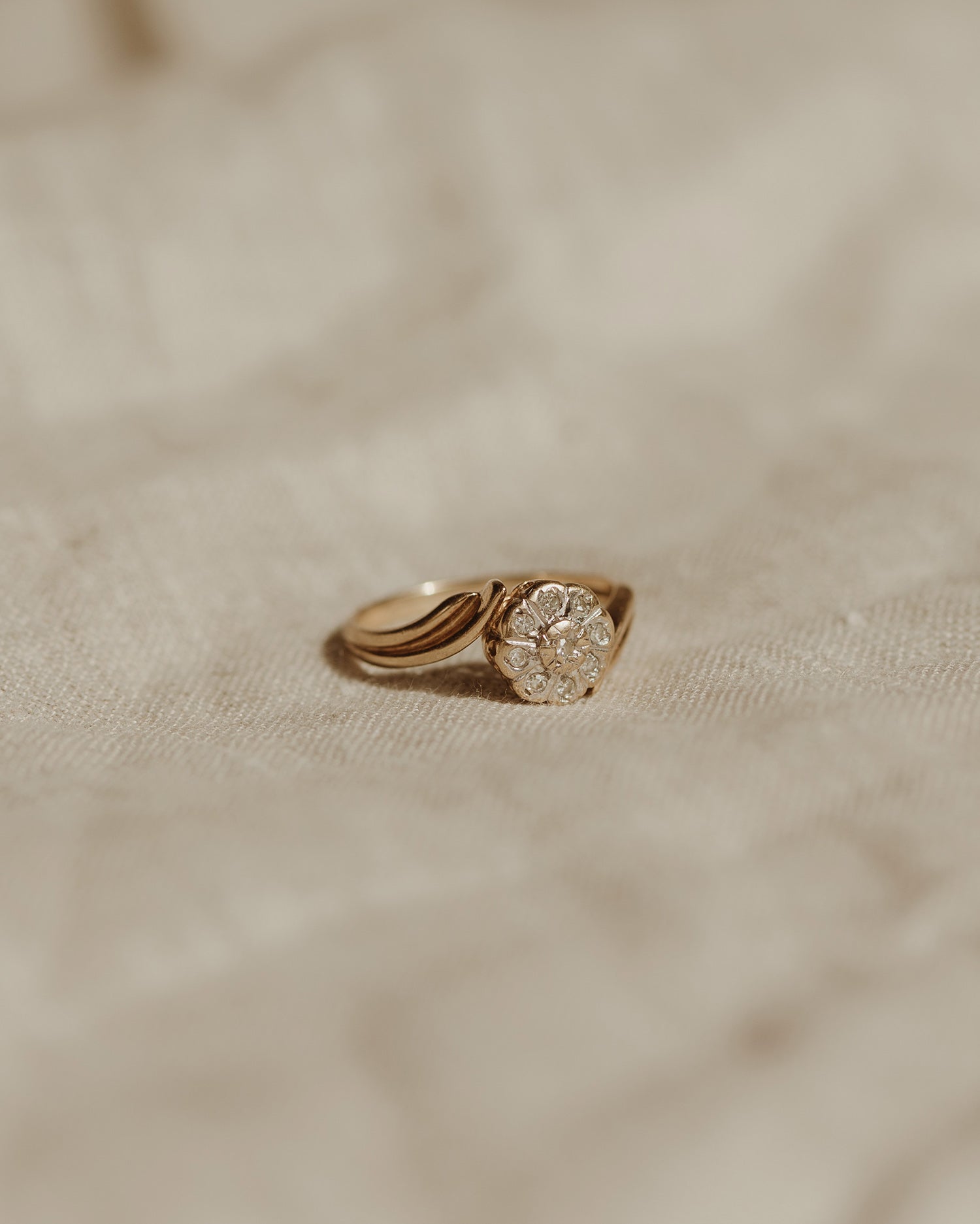 Arie 9ct Gold Nine Diamond Ring