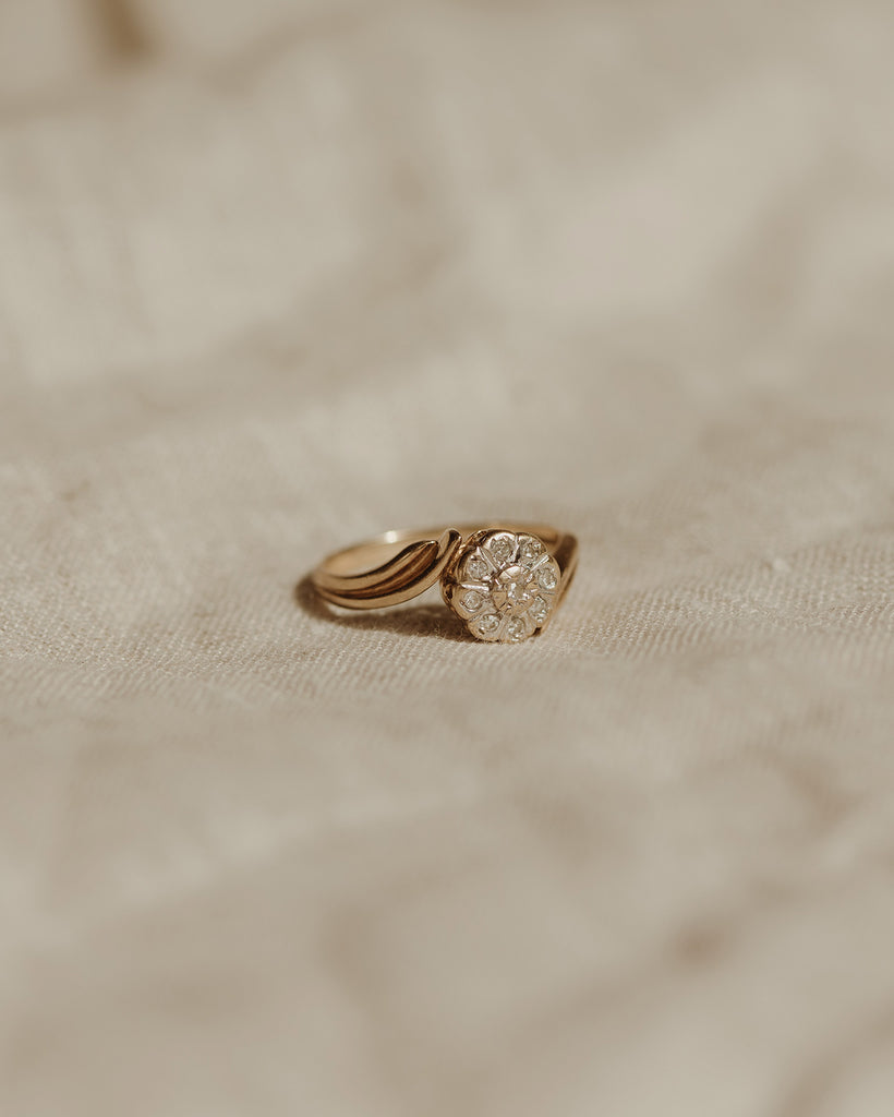 Arie 9ct Gold Nine Diamond Ring